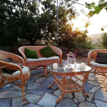 Theasea House With Garden Apartment Riglia Luaran gambar